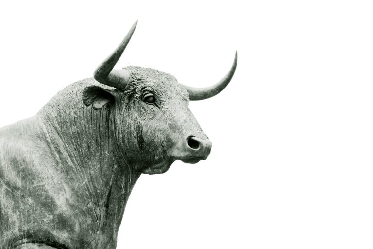S&P 500, 사상 최고치 경신… 팔란티어ㆍ액손ㆍ카바 급락